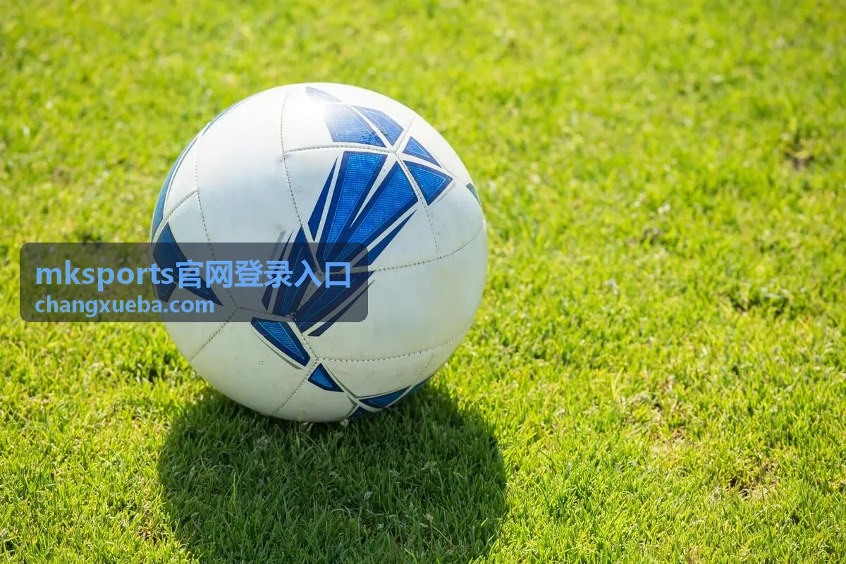 mksports官网登录入口通道主视觉