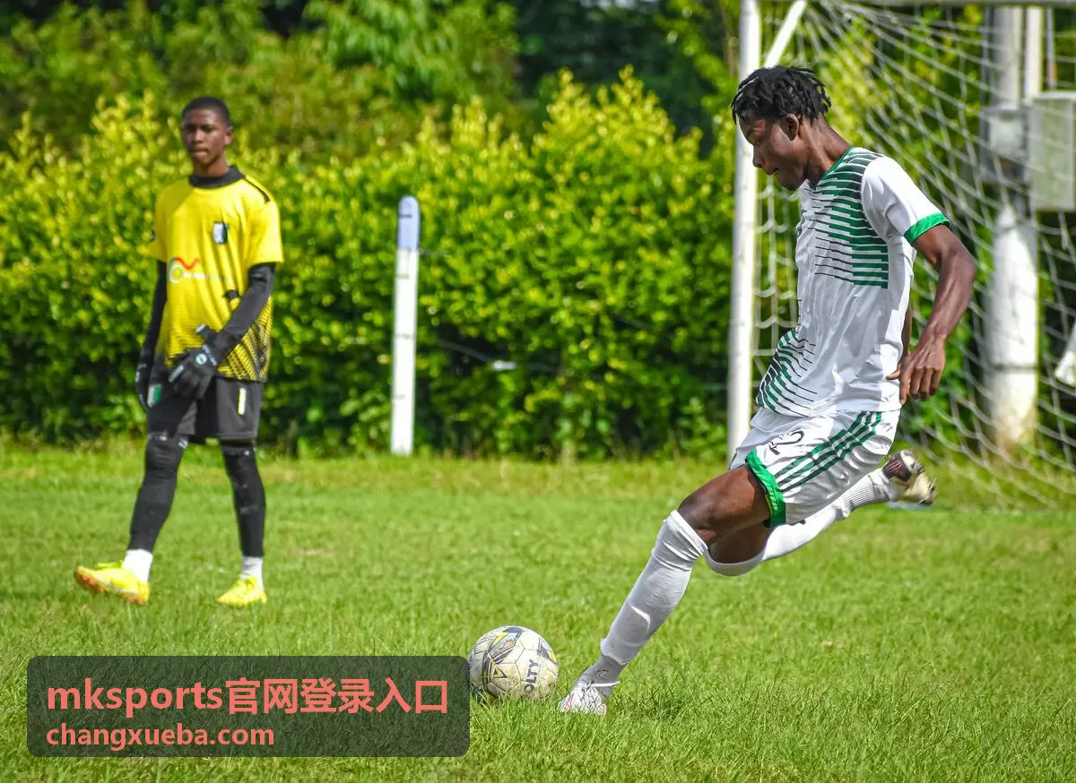 mksports官网登录入口账号校验流程示意